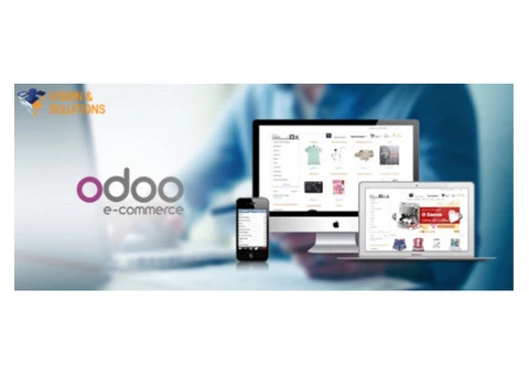 Get A New Business Outlook With Odoo Developer