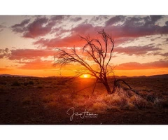 Best Photography Tours | 0413537564