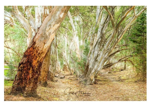 Best Photography Tours | 0413537564 - 2/8