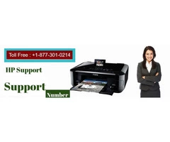 Dial Our HP Printer Support Number if your printer is not working well