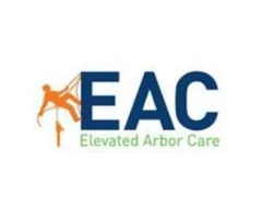 Professional Tree Cutting Services Near You in Sydney