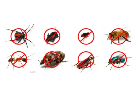 Panther Pest Control Melbourne - 2/5