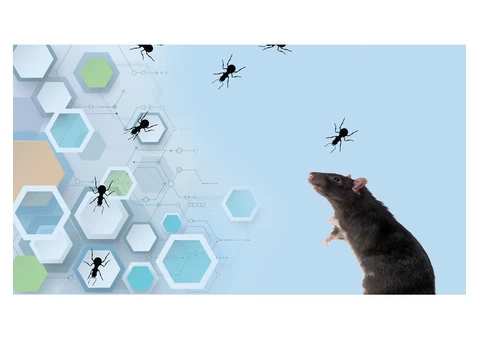 Panther Pest Control Melbourne - 3/5