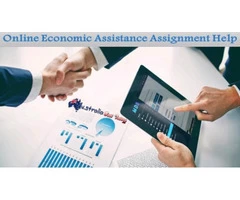 Online Economic Assistance Assignment Help for Students