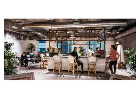 Office Plants Sydney - 3/3