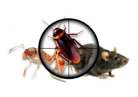 Pest Control East Victoria Park - 2/4