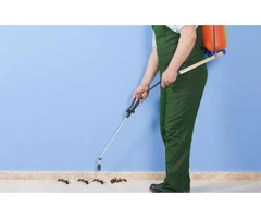 Pest Control Murray Bridge