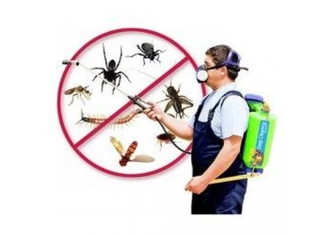 Pest Control Croydon Park