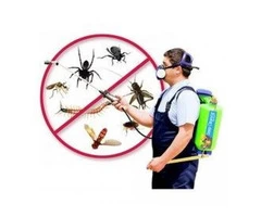 Pest Control Croydon Park