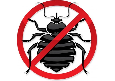 Pest Control Ringwood North