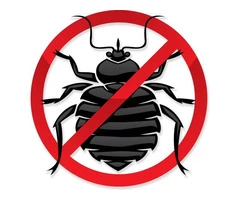 Pest Control Ringwood North