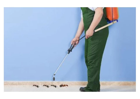 Pest Control Ballarat - 2/2