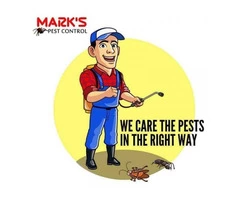 Pest Control Canning Vale
