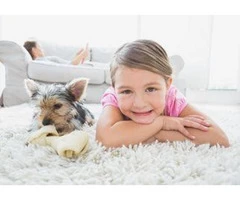 Rug Cleaning Brisbane || 1300136365