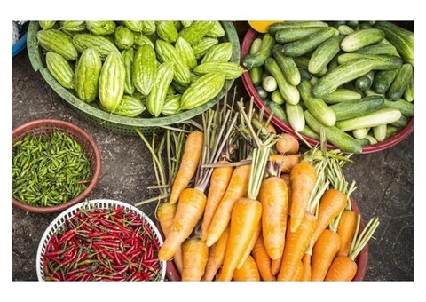 Best Business Coaching In Queensland - 1/3