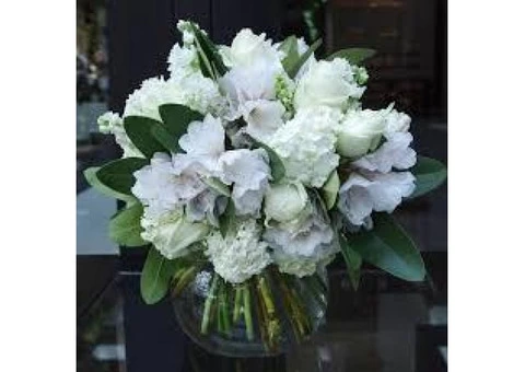 Best florist in Melbourne | Anteaus Flowers