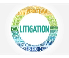 Certified Litigation Translation Services