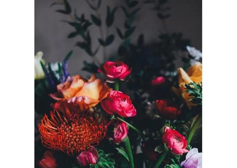 Same-Day Flower Delivery Service to Geelong