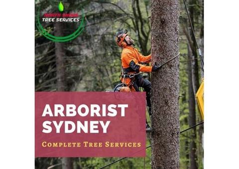 Complete Tree Services Under One Roof