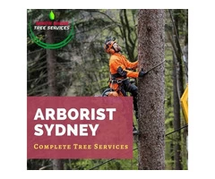 Complete Tree Services Under One Roof