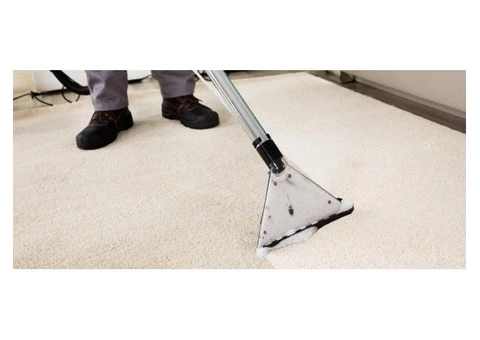 Carpet Cleaning Ocean Grove - 2/2