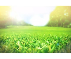 Make Your Lawn Greener, Garden Fertilising Services is here for you