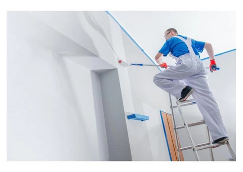 Professional Painting Service Provider | Delicate Painting