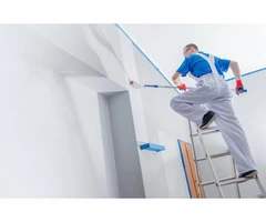 Professional Painting Service Provider | Delicate Painting