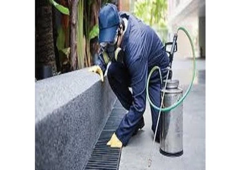 Fly and Mosquitoes Control Brisbane