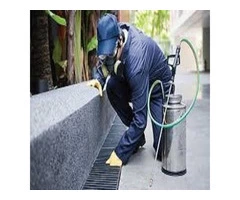 Fly and Mosquitoes Control Brisbane