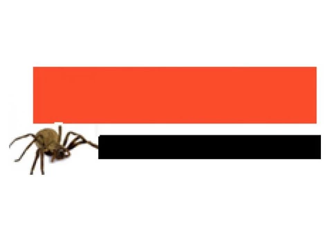 Pest Control Currumbin