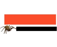 Pest Control Currumbin