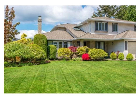 Make your Lawn Stunning with Lawn Mowing Eastern Suburbs