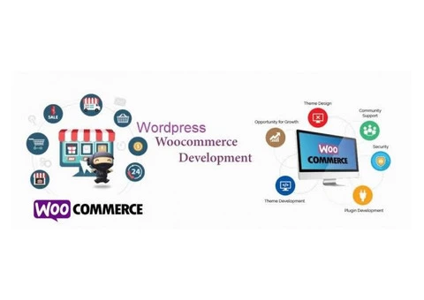 Wordpress Woocommerce Website Design And Development Services