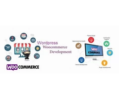 Wordpress Woocommerce Website Design And Development Services