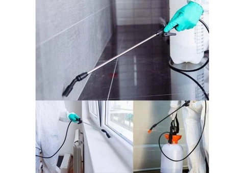 Pest Control Forest Lodge