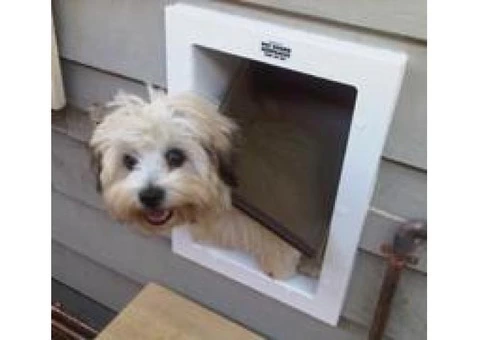 Let Your Cat Fall in Love with Customised Cat Enclosures