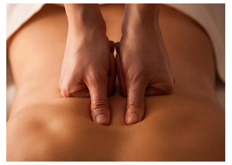 Visit To Ayurvedic Doctor Sydney-Ayurvedic Wellness Centre