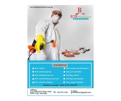 Avail the Advantages of Pest Control in Sydney