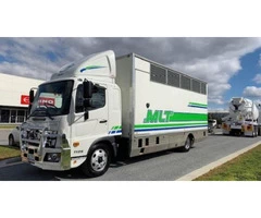 Best Horse Transport in Australia|mltequinetransport