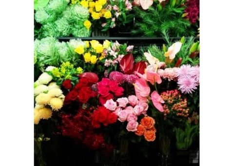 Get Flower Shop Online - 1/3