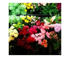 Get Flower Shop Online
