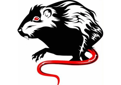 Pest control Mt Martha