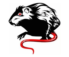 Pest control Mt Martha