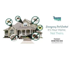 Pest Control Services in Balwyn by Team of Experts