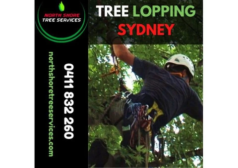 Why Tree Lopping Is Necessary For The Trees