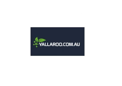 Yallaroo - 3/3