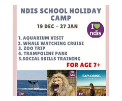 NDIS Therapeutic Support online