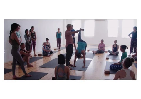 Teacher Trainings and Yoga Retreats | Yoga Teacher Training Melbourne | UpDog Yoga - 1/3