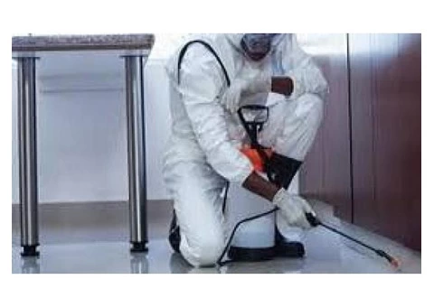 Pest control Glenvale